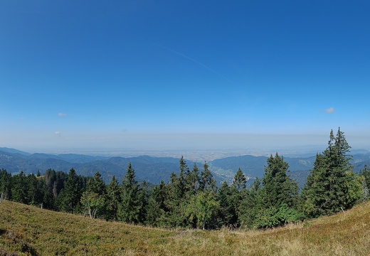 Schwarzwald September 2023